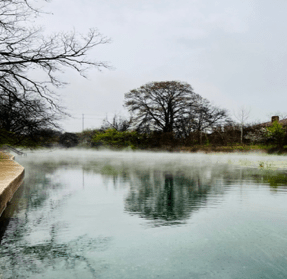 a body of water surrounded by trees