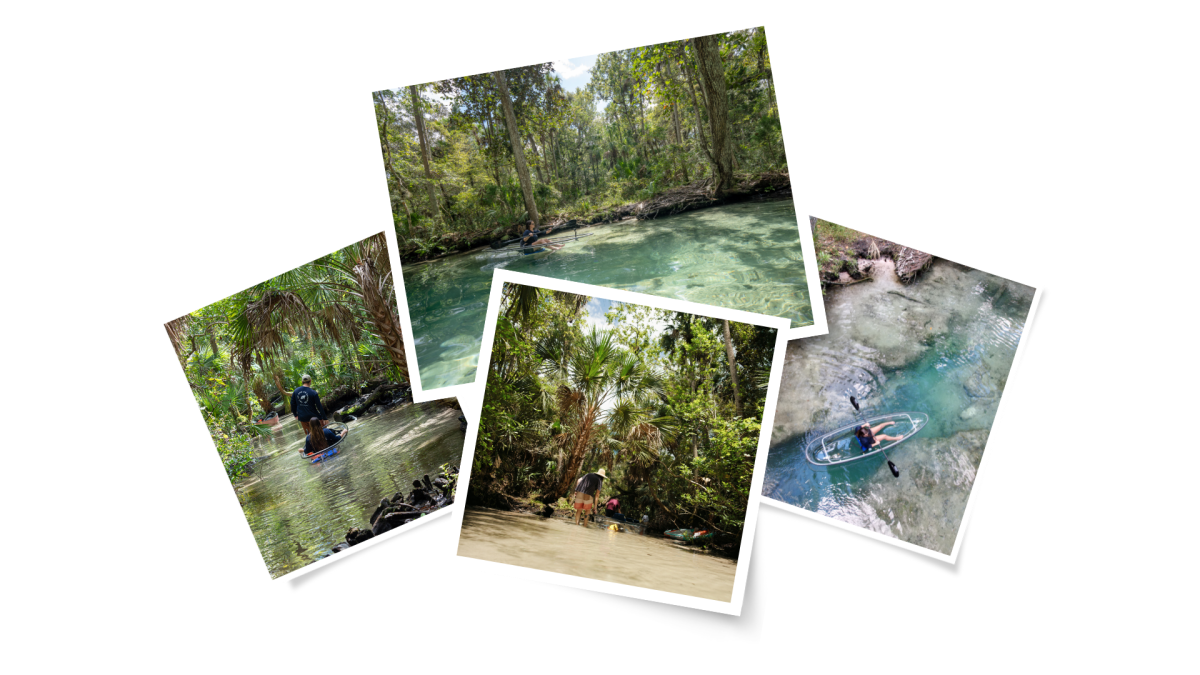 Copy of New Photo Collage Template Copy of New Photo Collage Template