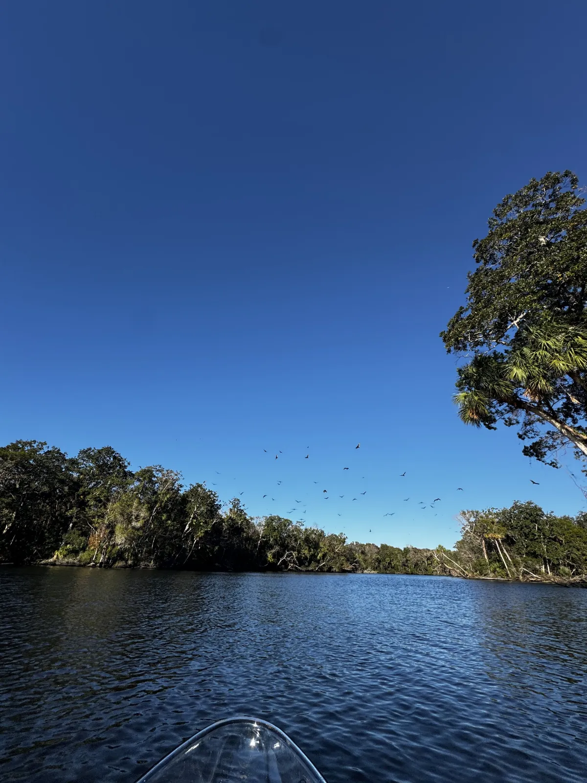 a boat on a lake next to a body of water