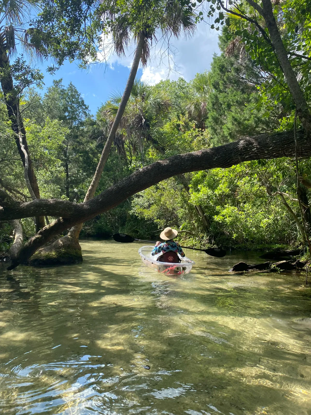 a man riding on the back of a boat next to a tree