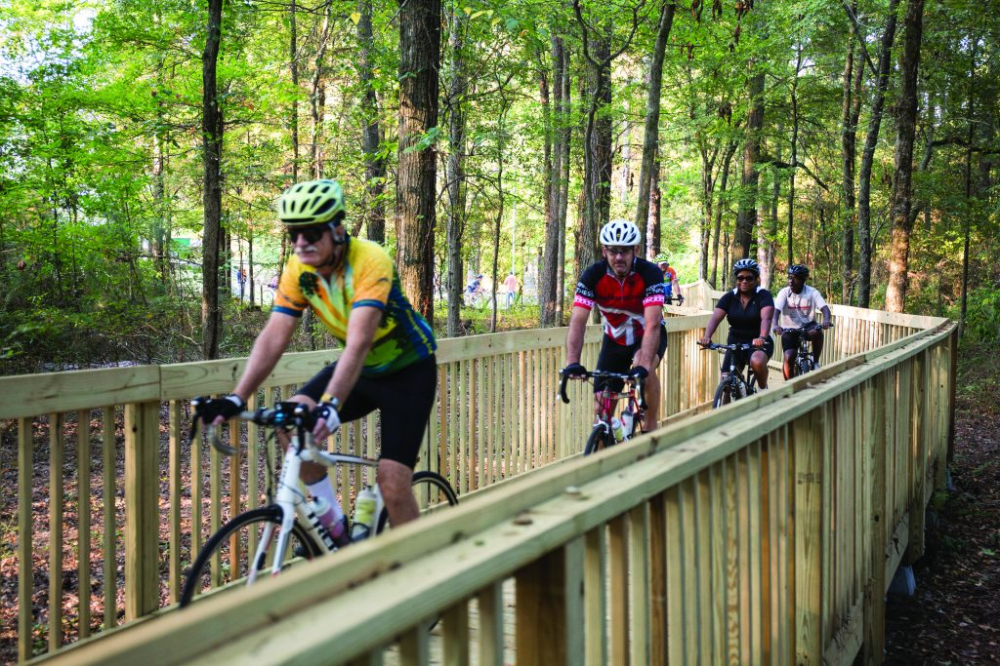 a group of people riding on top of a wooden fence