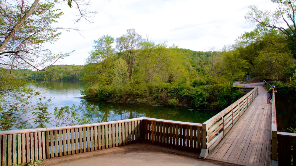 a wooden bench sitting next to a body of water