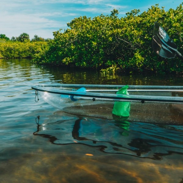 a person swimming in the water