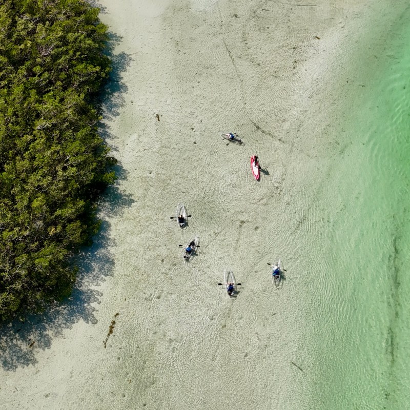 a group of people on a beach