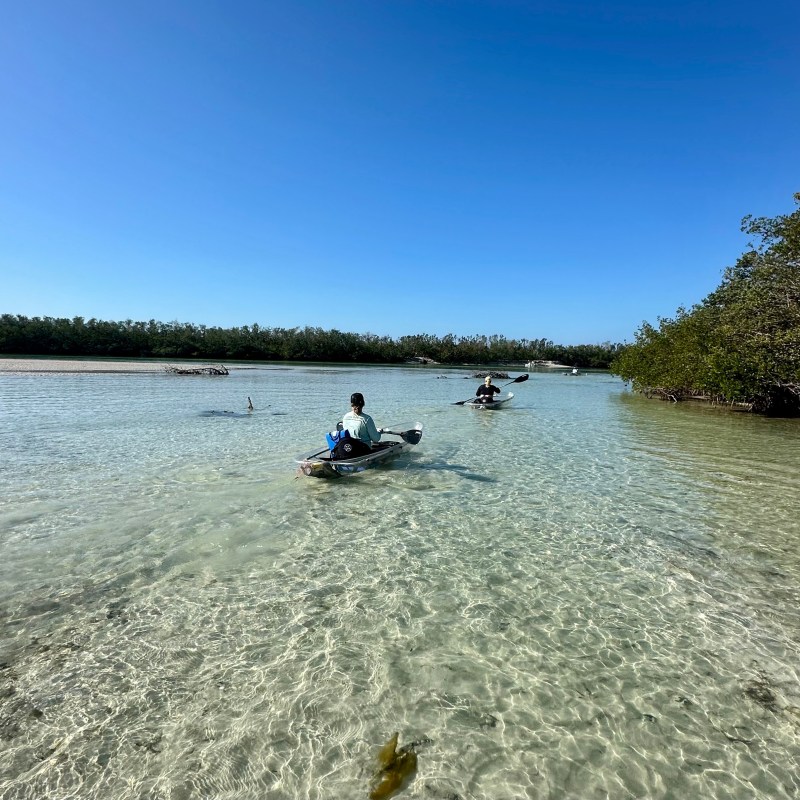 a man riding on top of a body of water