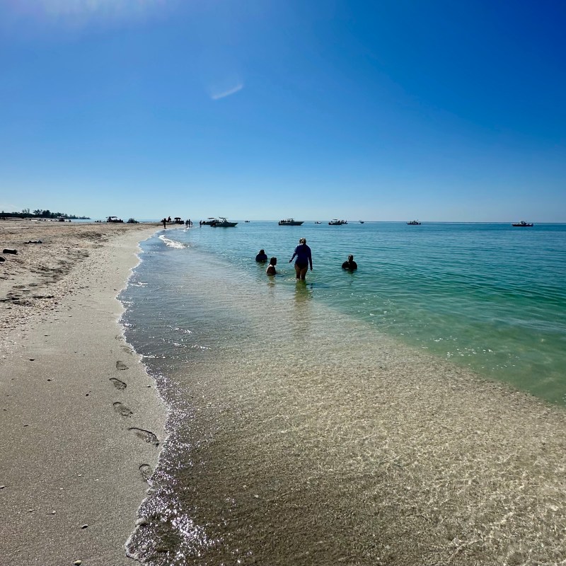 a group of people on a beach near a body of water
