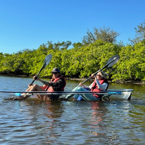 a group of people rowing a boat in a body of water