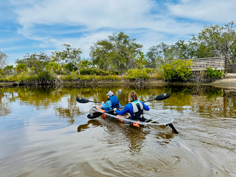a group of people rowing a boat in a body of water