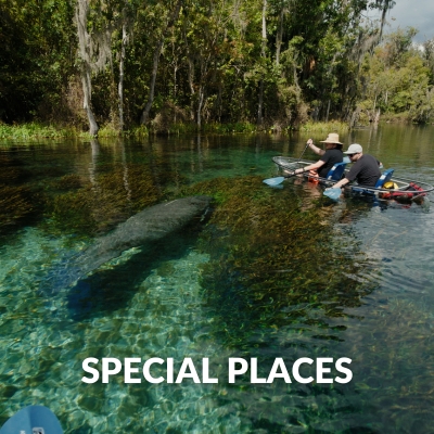 Special Places a man riding a motorcycle down a river