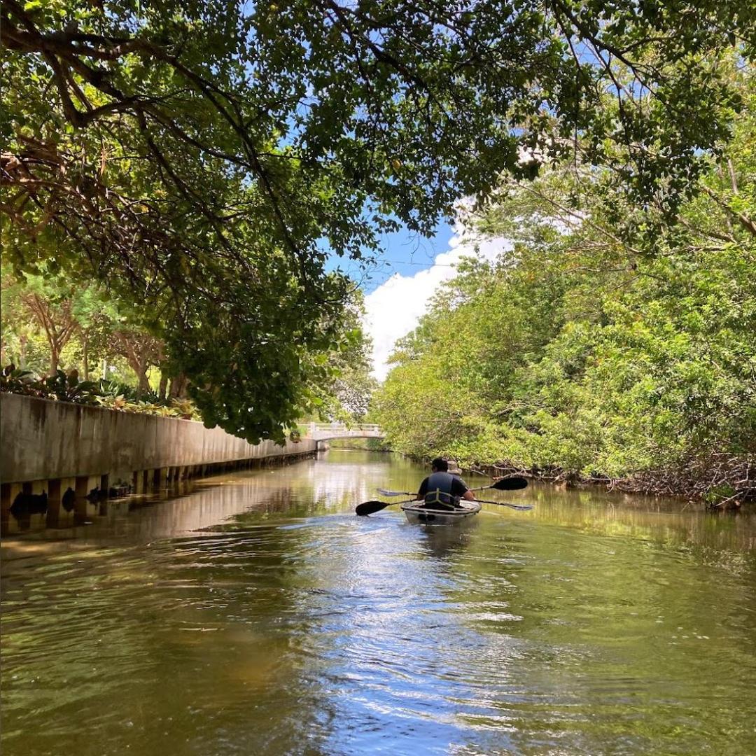 a boat floating along a river next to a body of water