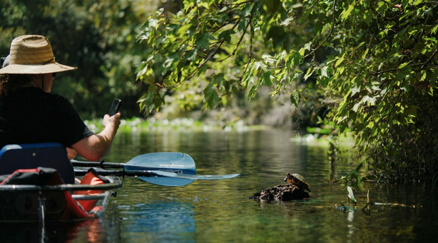 a person rowing a boat in the water