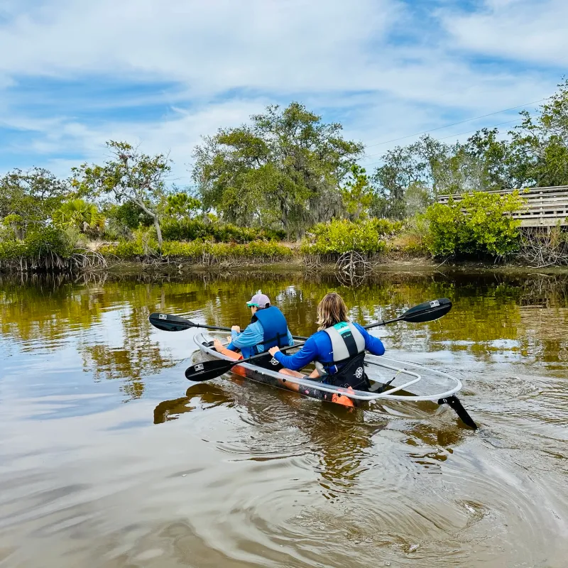 a group of people riding skis on a body of water