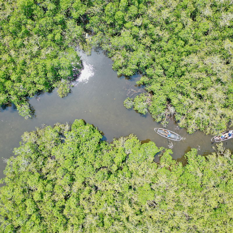 a garden with water in the background