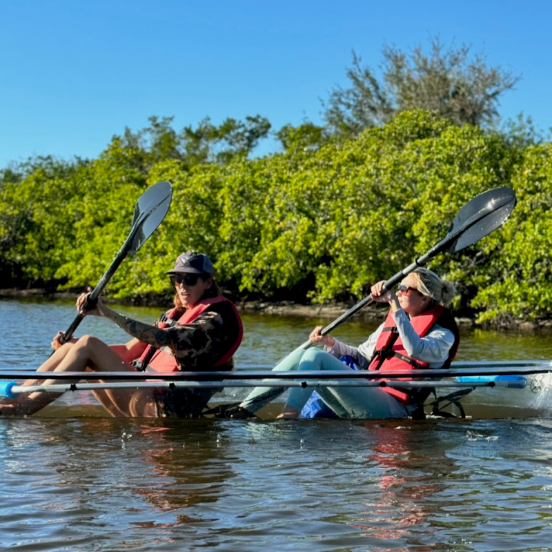 a group of people rowing a boat in the water