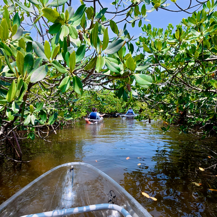 a river running through a body of water