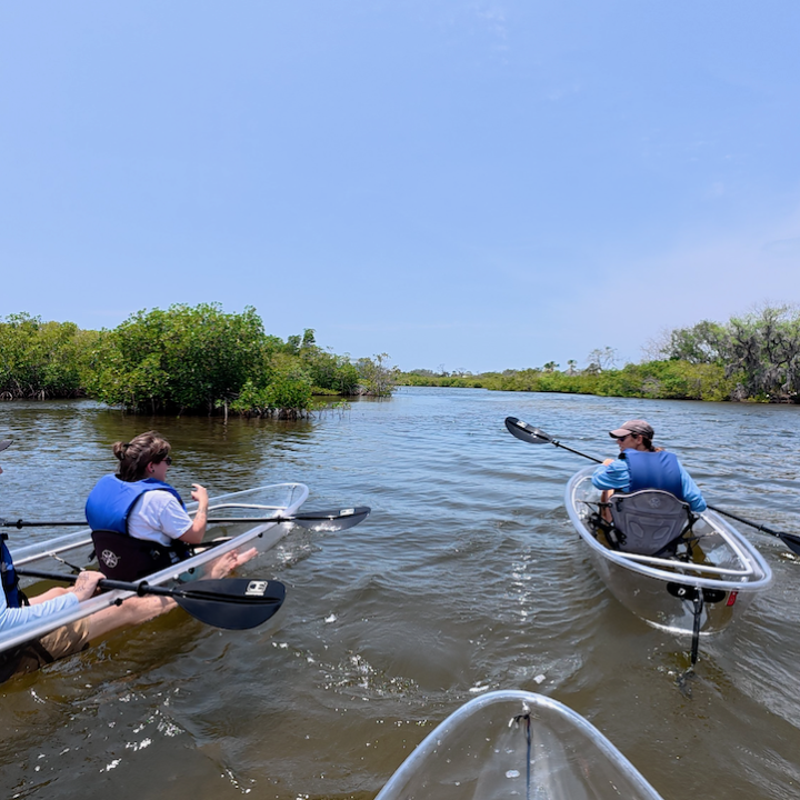 a group of people rowing a boat in a body of water