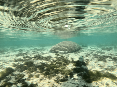 a body of water