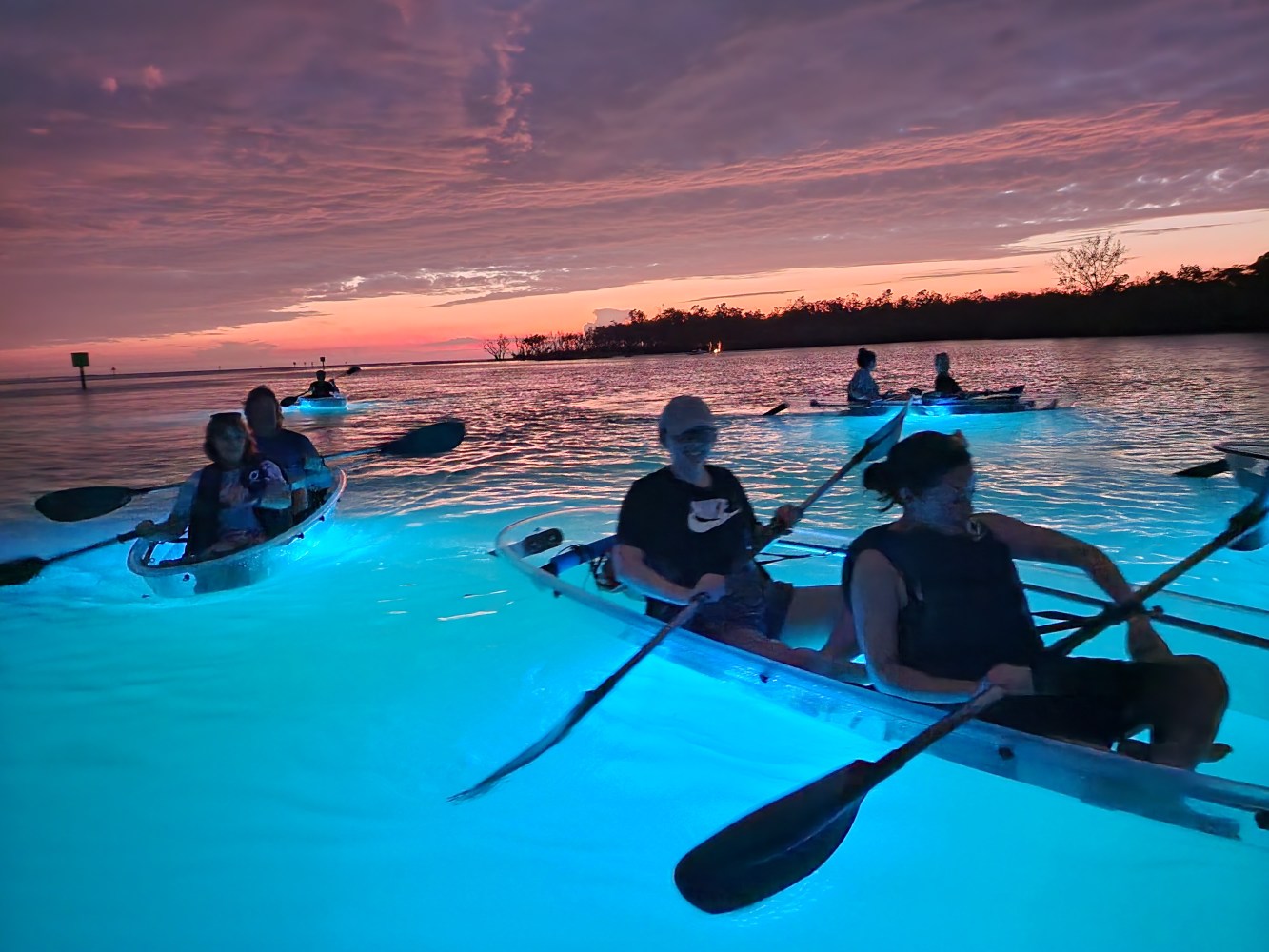 a group of people swimming in a body of water