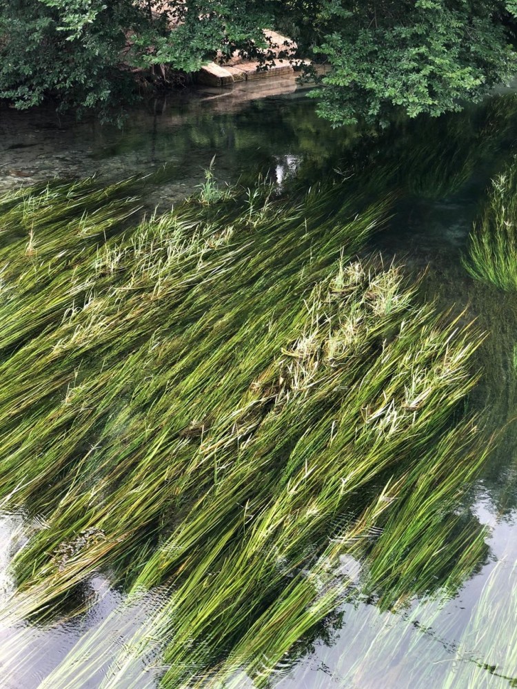 a waterfall with trees on the side of a river