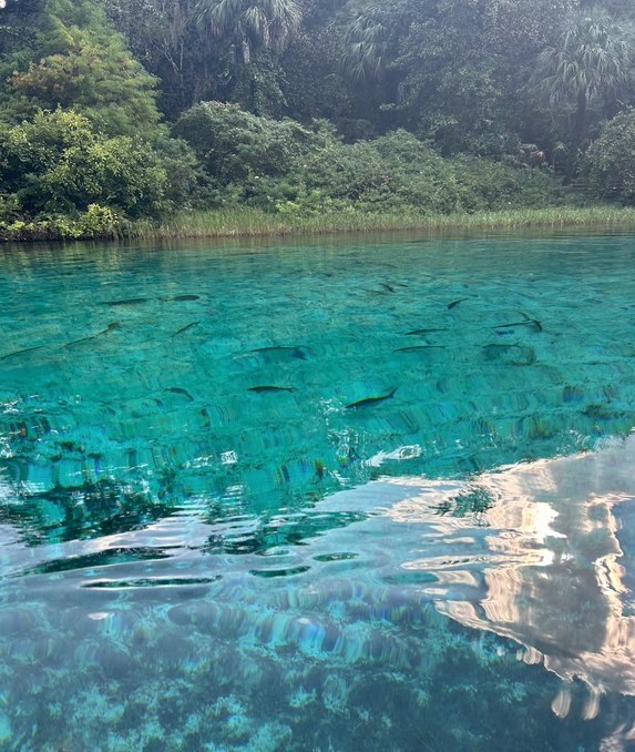 a large pool of water