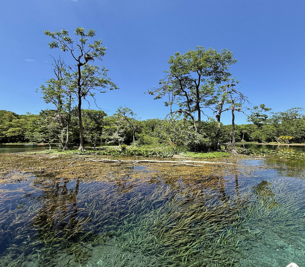 a pond next to a body of water