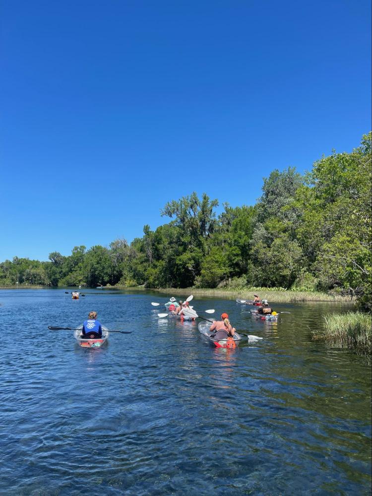 a group of people rowing a boat floating on a body of water