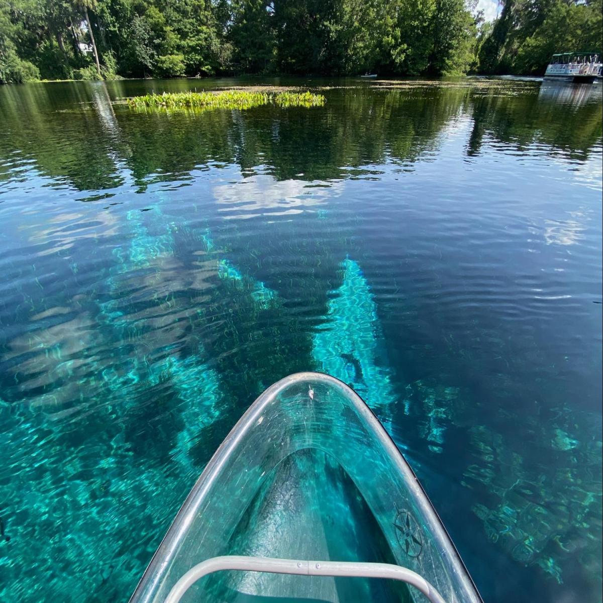 a body of water surrounded by trees