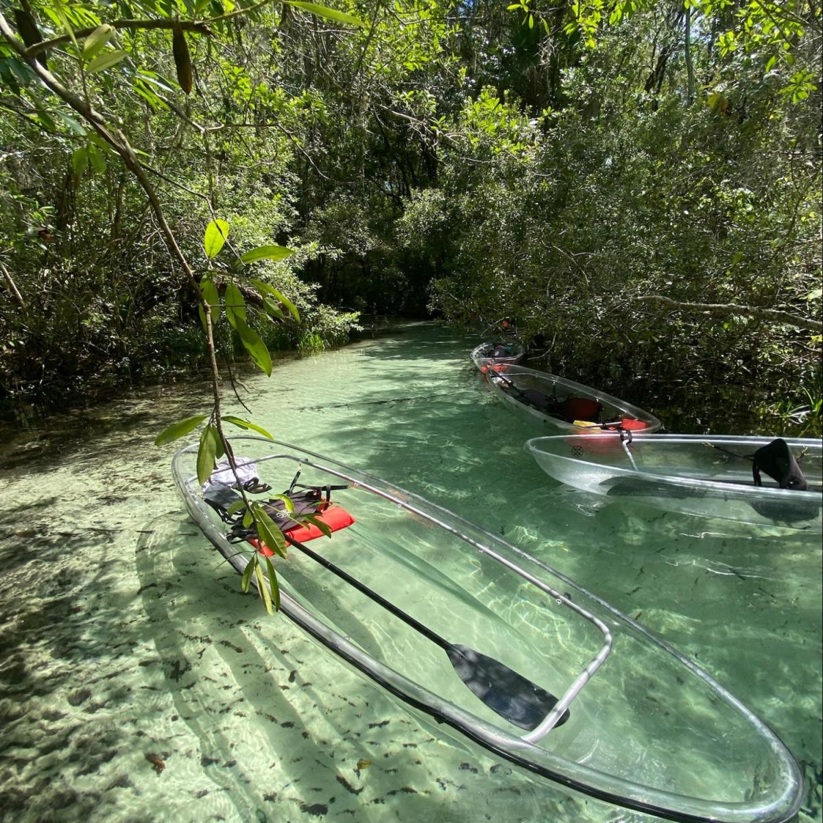 a group of people riding skis down a river