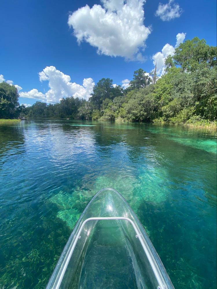 a large body of water surrounded by trees