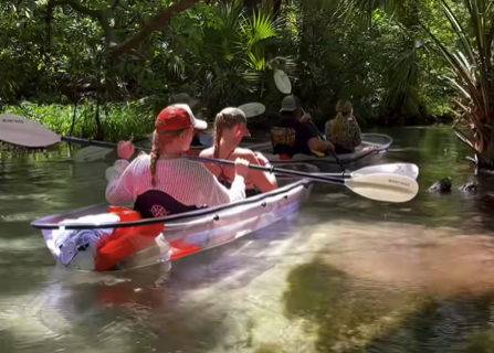 People kayaking in transparent kayaks on a clear, narrow river surrounded by lush greenery.