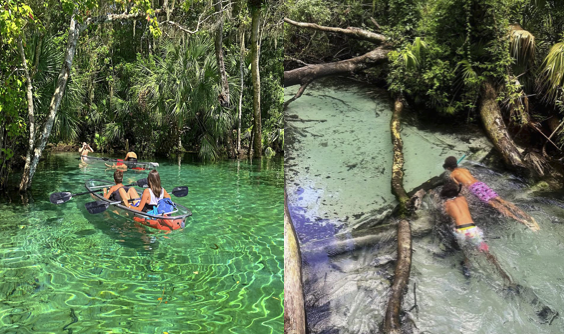 People kayaking and snorkeling in a clear, forested river.