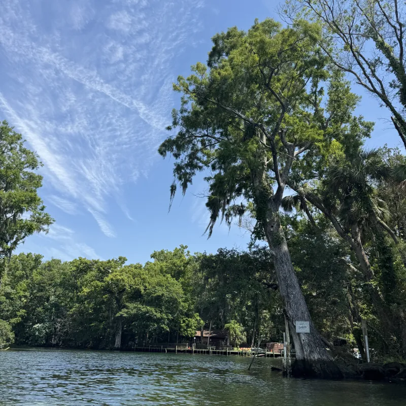 Trees and a clear sky over a calm river with a distant house visible.