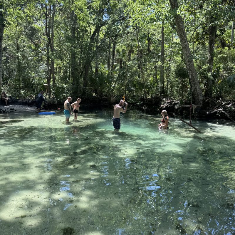 People standing in a clear, shallow river surrounded by lush, green trees.