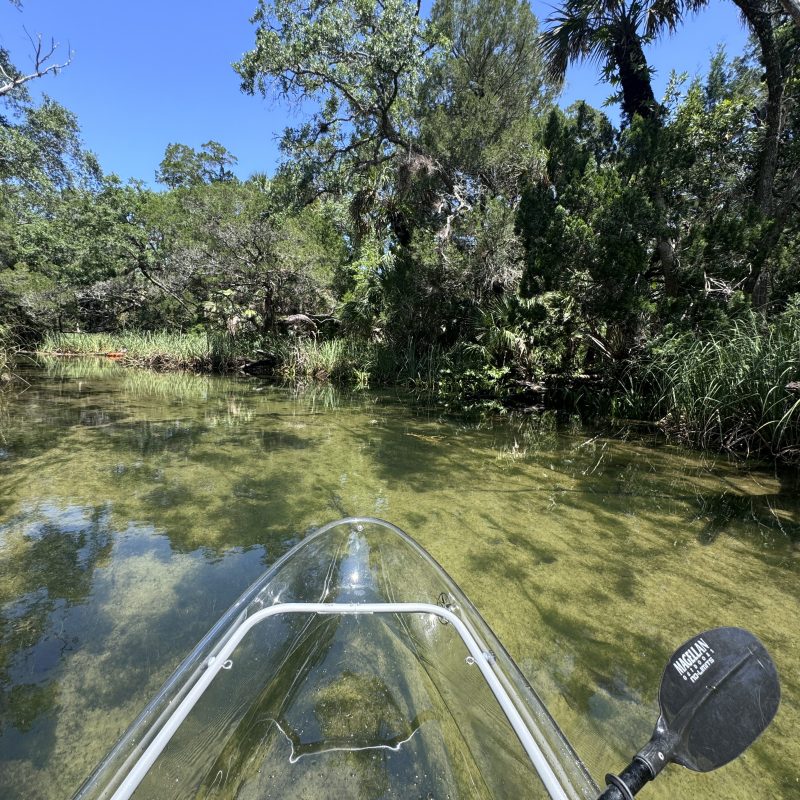 Clear kayak on serene water surrounded by dense trees under a bright blue sky.
