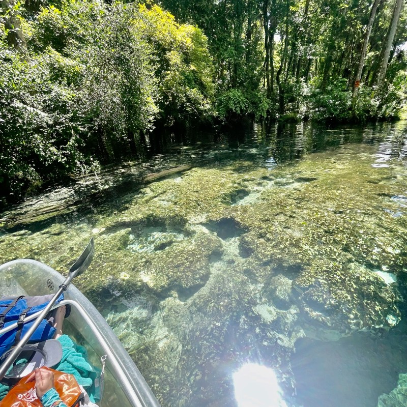 Kayak on clear water near lush green riverbank under sunlight.