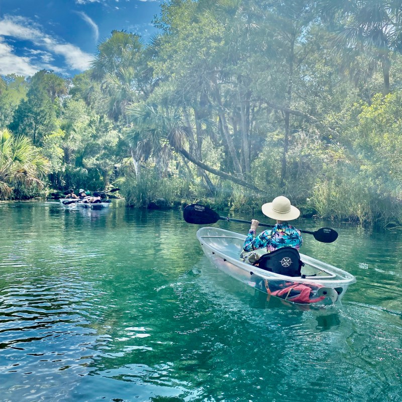 Person kayaking in clear water surrounded by trees, wearing a sun hat and floral shirt.