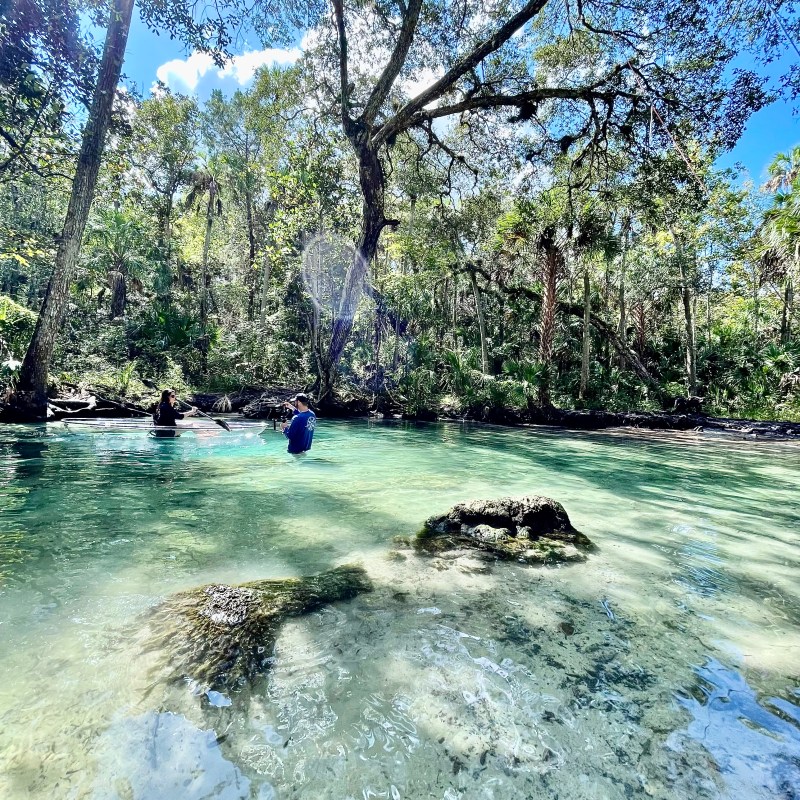 Two people wade in a clear forest stream under sunlit trees.