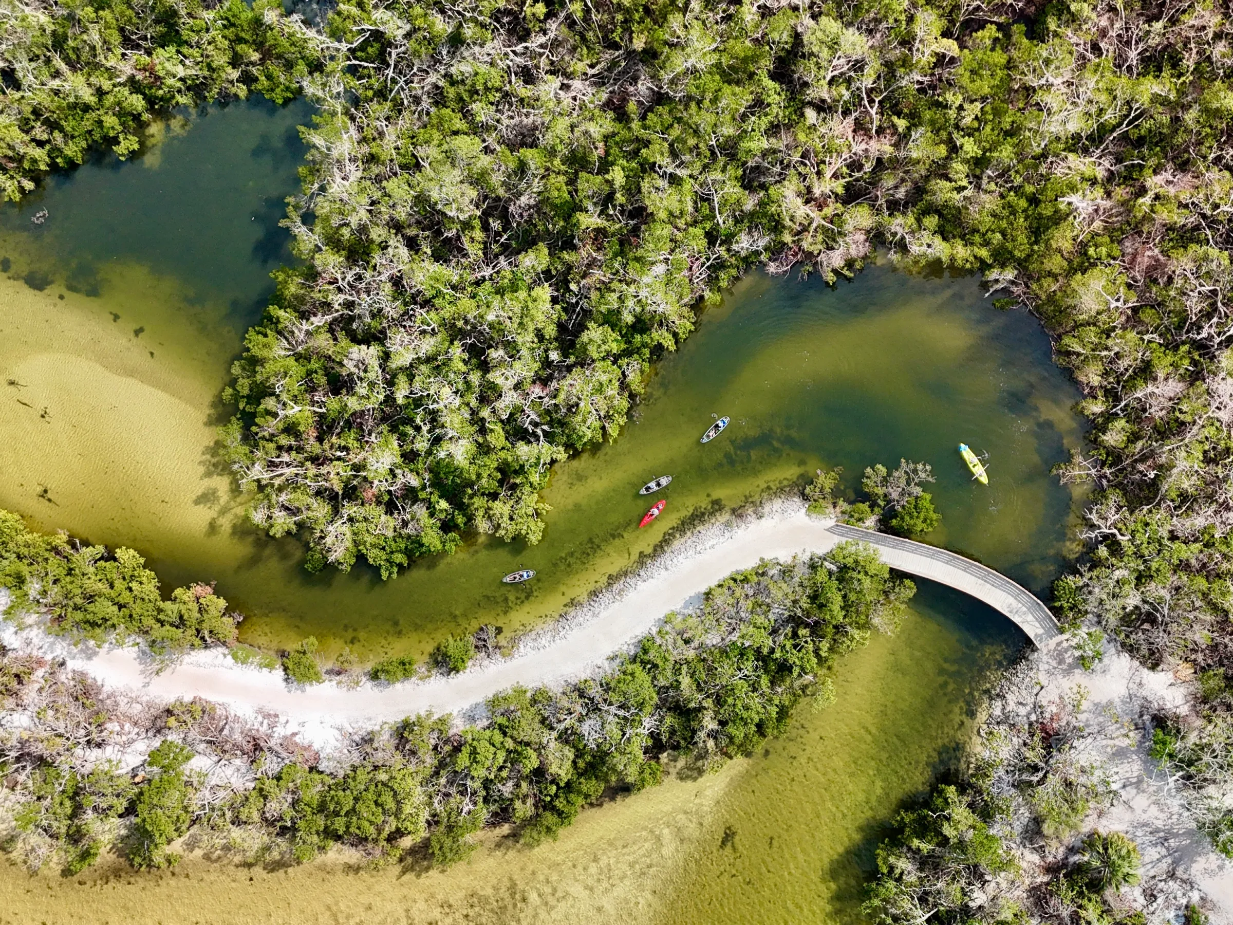 Aerial view of kayakers on a winding river surrounded by dense green forest.