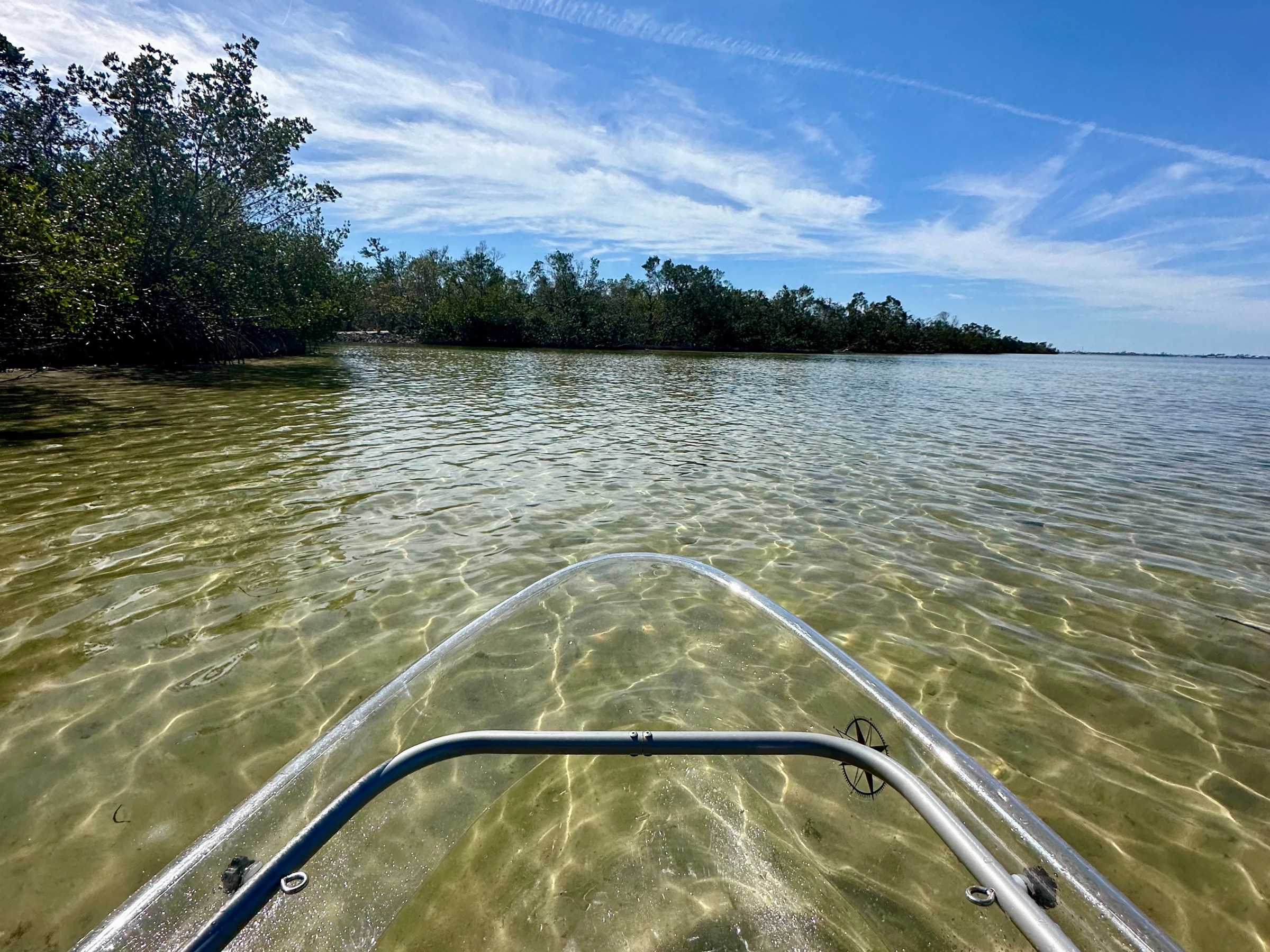 Clear kayak in shallow water near mangroves under a blue sky.