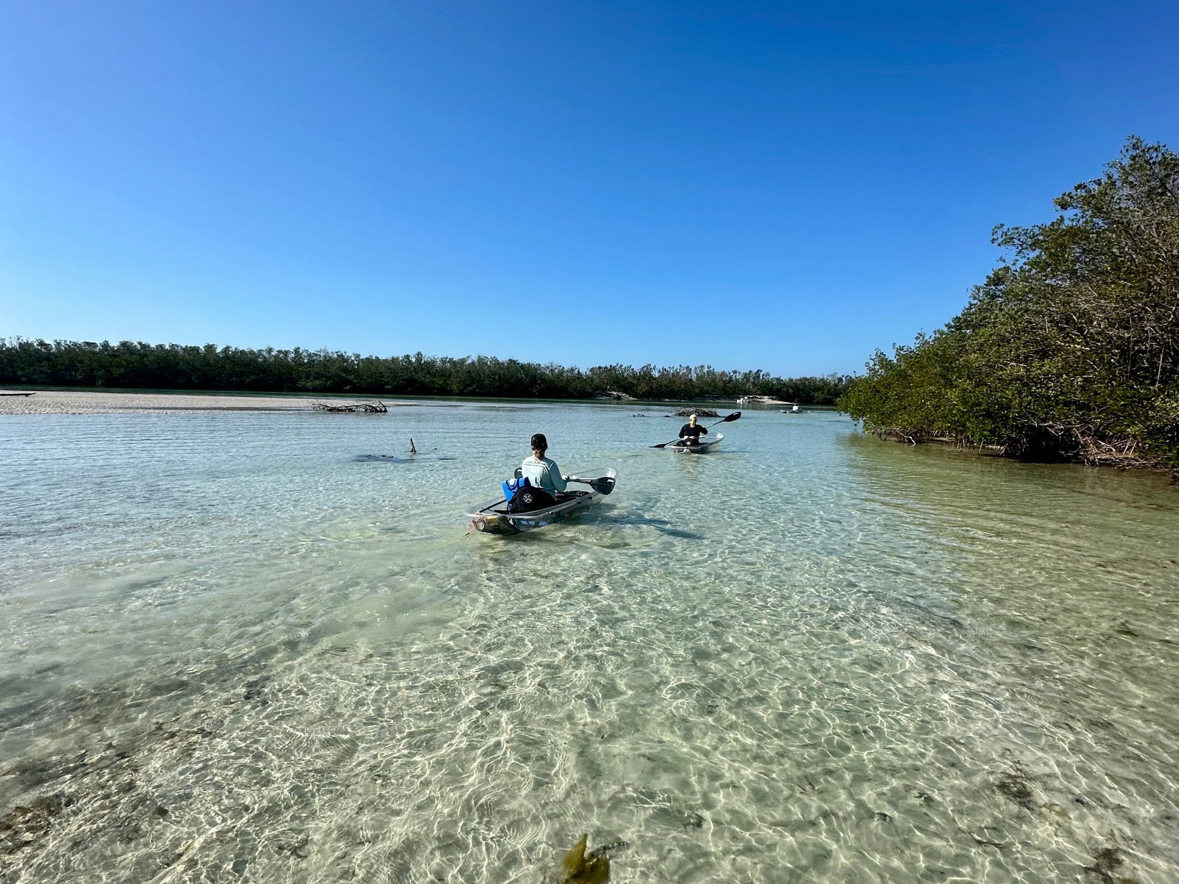 Two people kayaking in clear shallow water with trees and a blue sky.