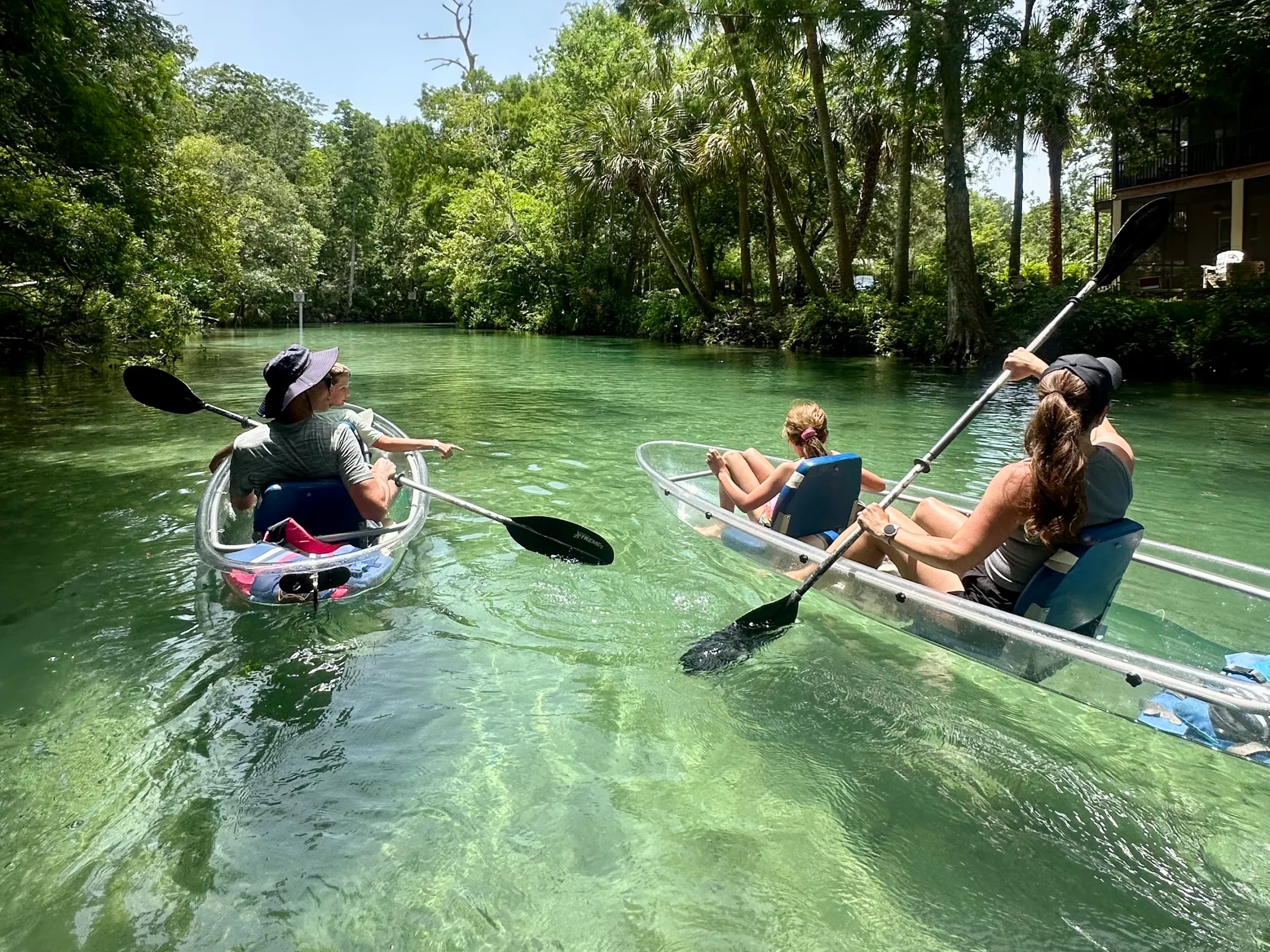Two clear kayaks with people paddling on a scenic, green-water river surrounded by trees.