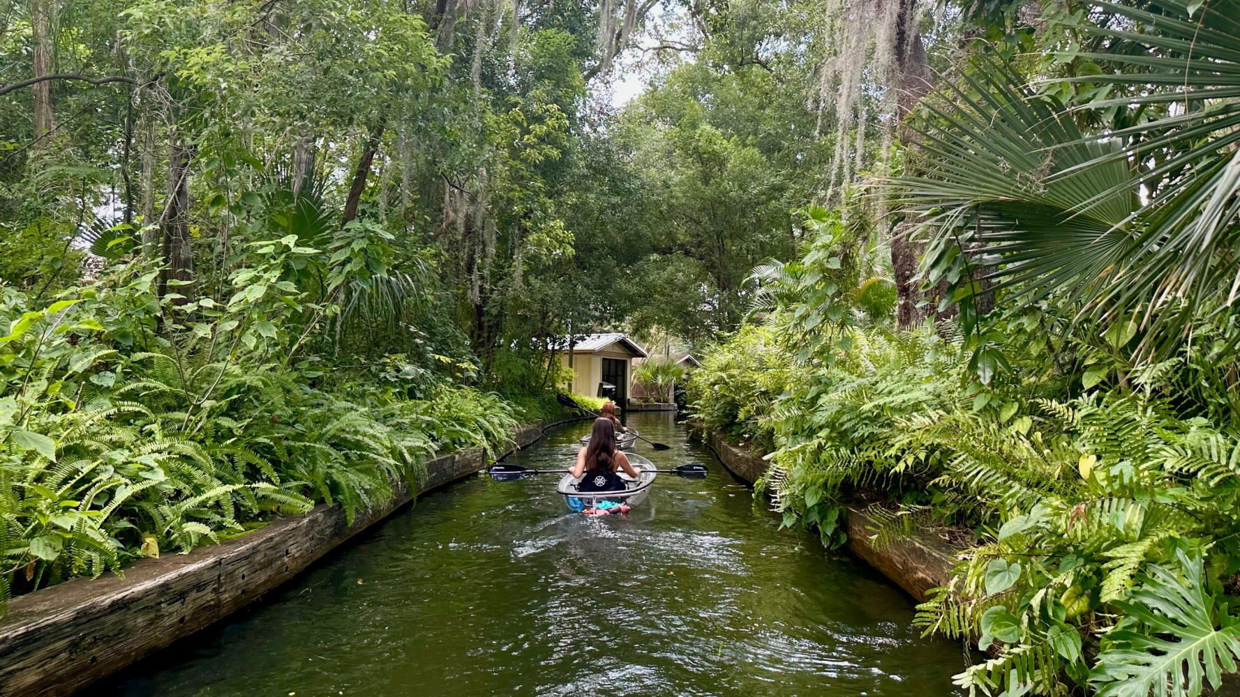 Person kayaking through a lush green forest canal with ferns and trees.