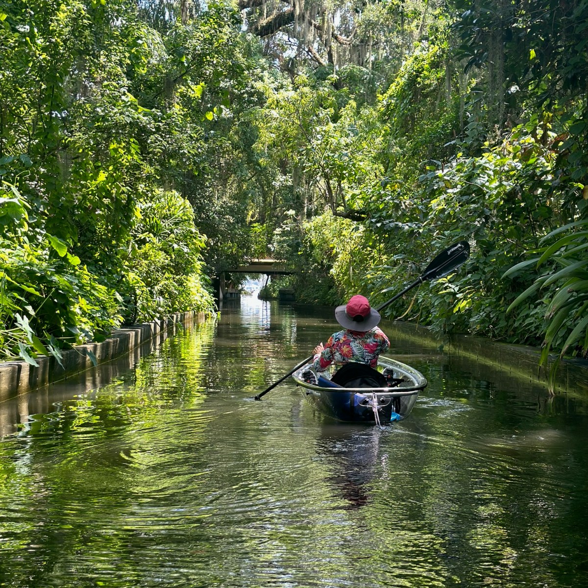 Person kayaking through a lush, narrow canal surrounded by dense greenery and trees.