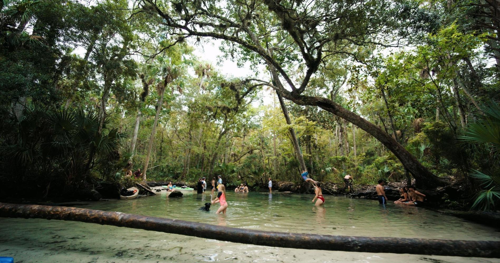 People swimming and playing in a forested lagoon with clear water and lush greenery.