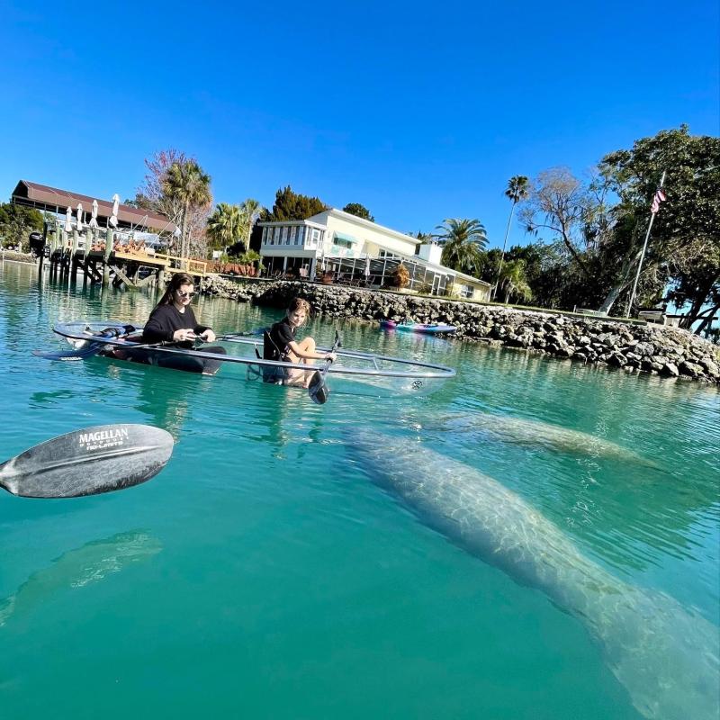 Two people in clear kayaks on water with manatees below, near a waterfront house.