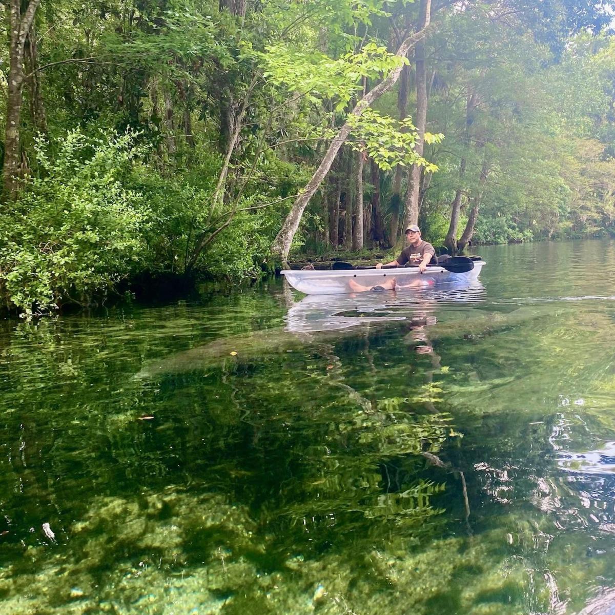 Person kayaking on clear green river surrounded by dense trees.
