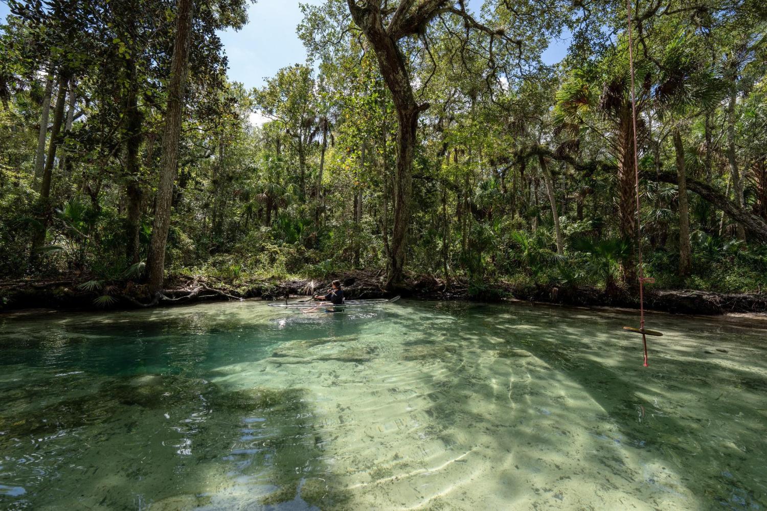 Person kayaking in clear river surrounded by dense forest.