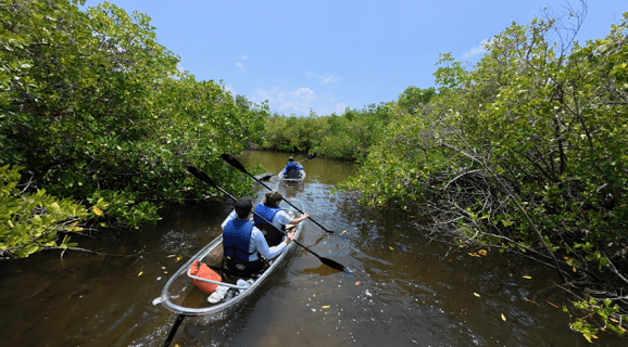 Three people kayaking through a narrow waterway surrounded by lush greenery under a clear blue sky.