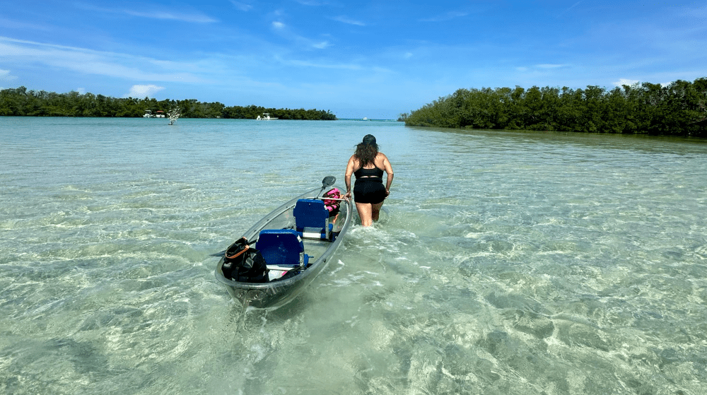 Woman wading in shallow water with a clear kayak, scenic mangrove background.