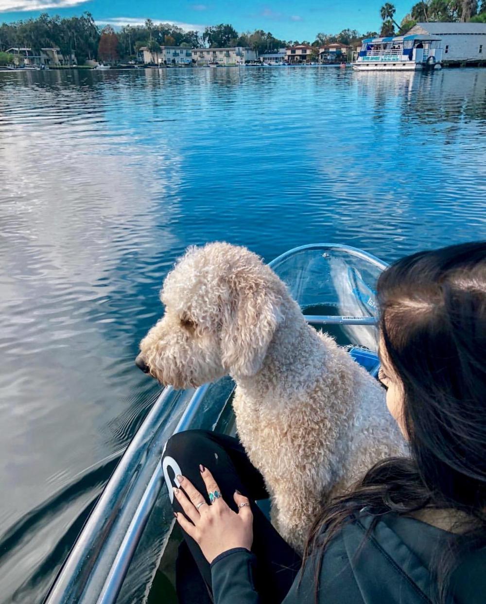 Person and dog sitting on a boat, overlooking a calm lake with houses in the background.